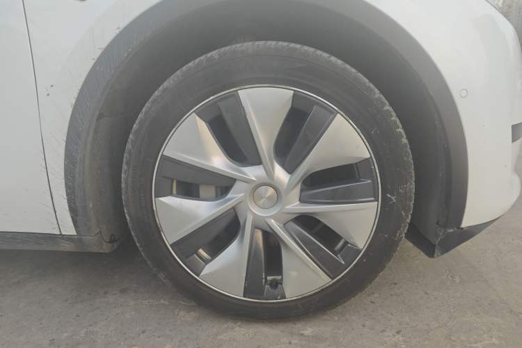 Used Tesla Model Y 2022 Rear-Wheel-Drive Version
