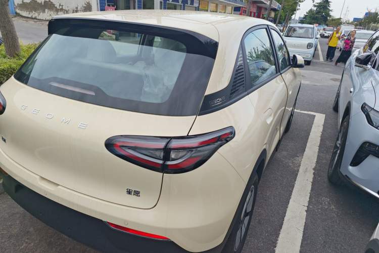 Used  Geome 2025 310km Youth Edition
