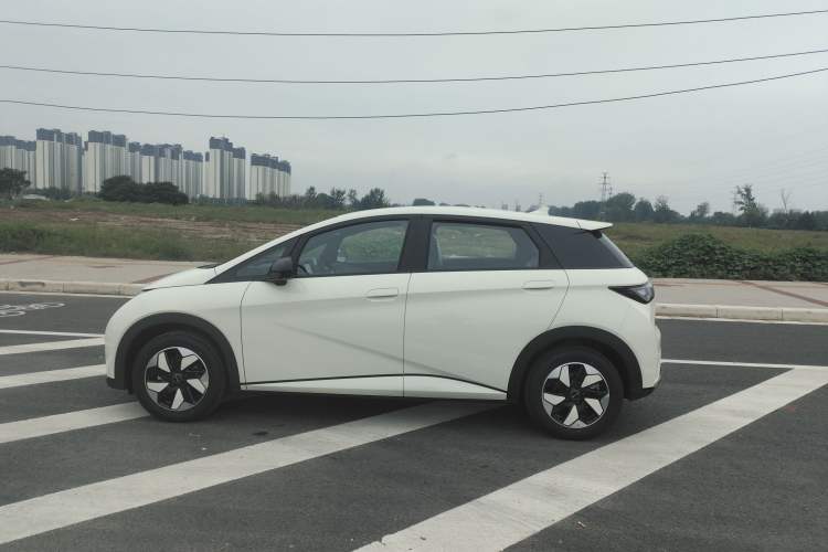 Used BYD Dolphin 2025 420km Free Edition
