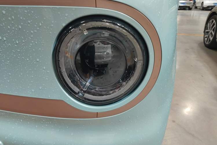 Used  Panda 2024 Panda Mini 200km Endurance Bear
