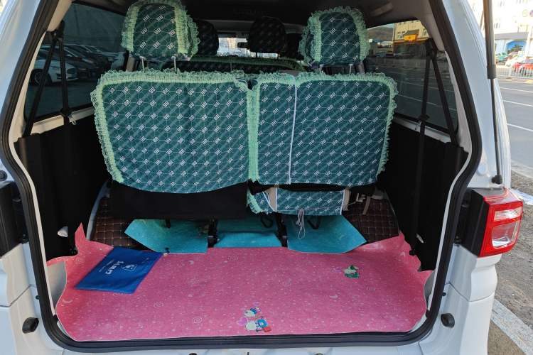 Used FORTHING Lingzhi 