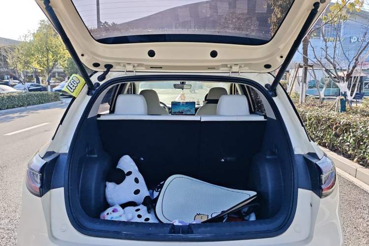 Used  Geome 2025 310km Dream Edition
