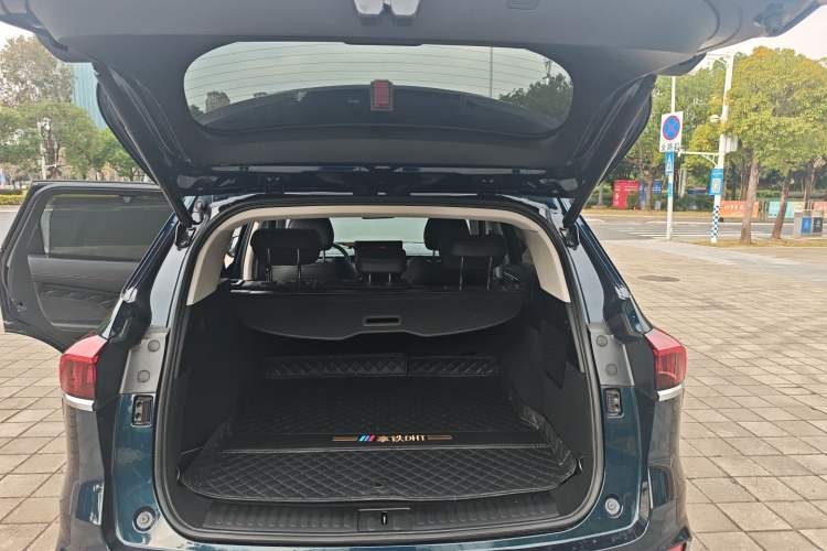 Used Wey Latte DHT-PHEV 2022 1.5T Four-Wheel Drive Extra-Large Version
