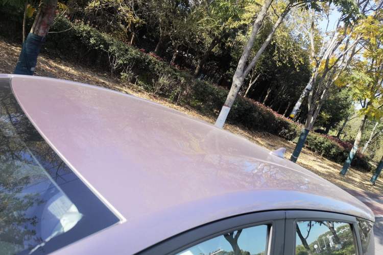 Used BYD Dolphin 2024 Honor Edition 420km Freedom Version
