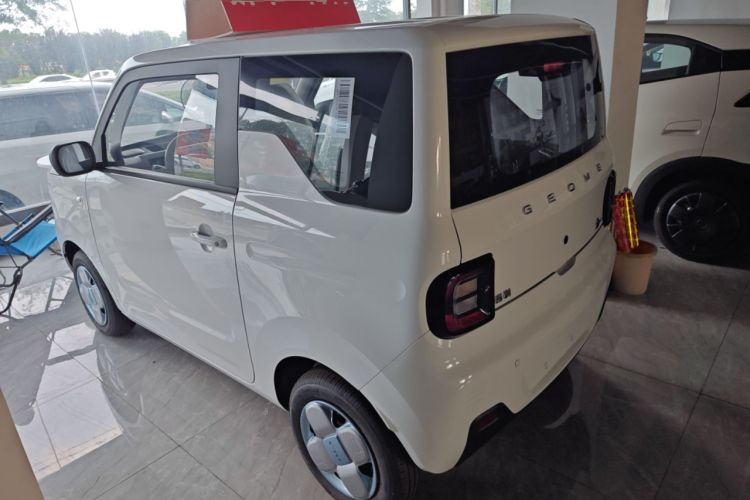 Used  Panda 2024 Panda Mini 200km Endurance Bear