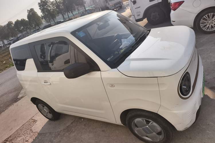 Used  Panda 2024 Panda Mini 200km Endurance Bear
