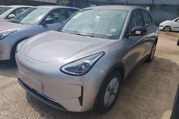 Used  Geome 2025 310km Youth Edition
