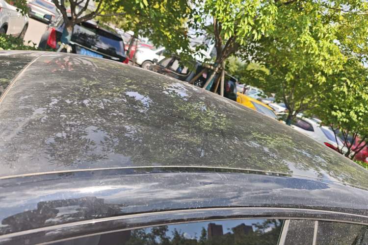 Used XPeng P7+ 2024 Long-Range Max
