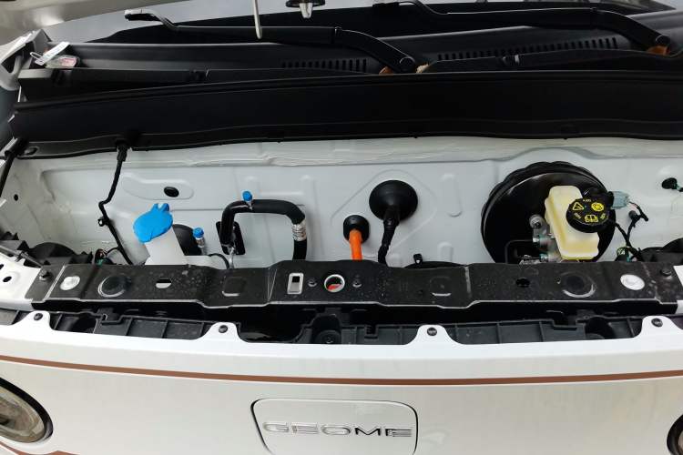 Used  Panda 2024 Panda Mini 200km Endurance Bear
