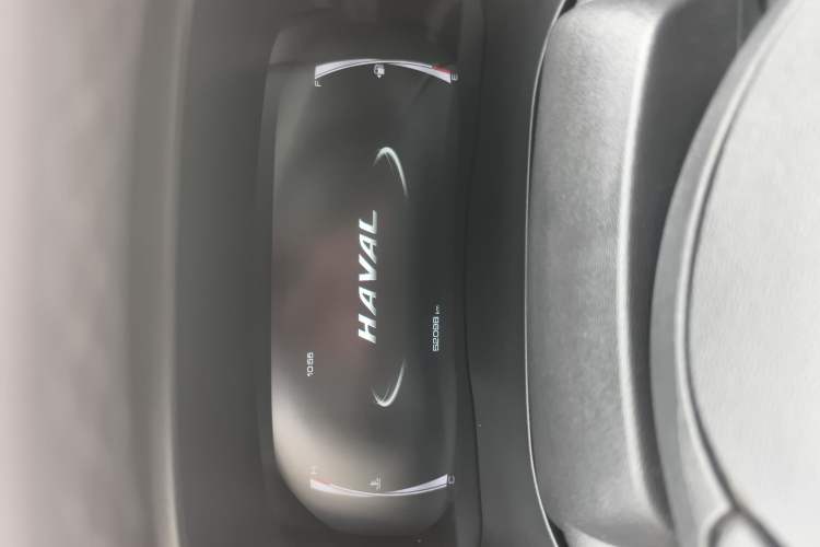 Used Haval H6 2021 National Trend Edition 1.5T Automatic Champion Version