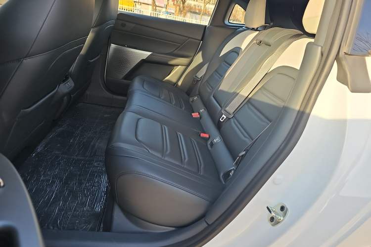 Used  eπ007 2024 200Pro Range-Extended Version
