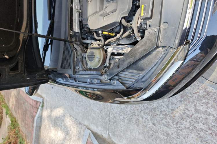 Used Volkswagen Magotan 2019 330TSI DSG Leading Edition China V Standard
