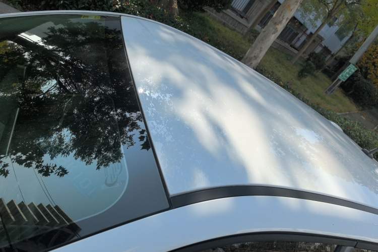 Used ORA Black Cat 2021 351 km Standard Version
