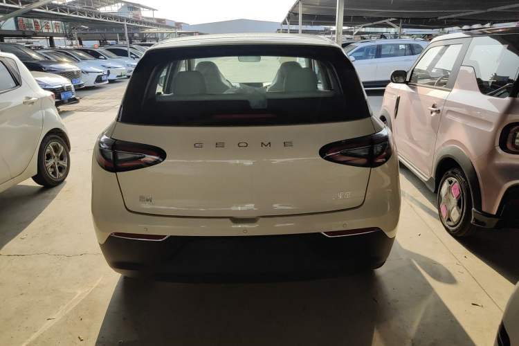 Used  Geome 2025 310km Youth Edition
