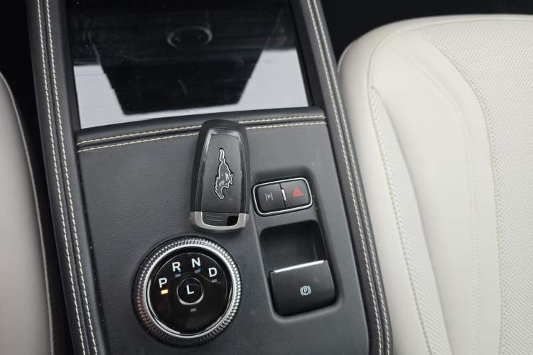 Used Ford Mustang Mach-E 2021 AION Y Plus Rear-Drive Luxury Edition (Long Range)