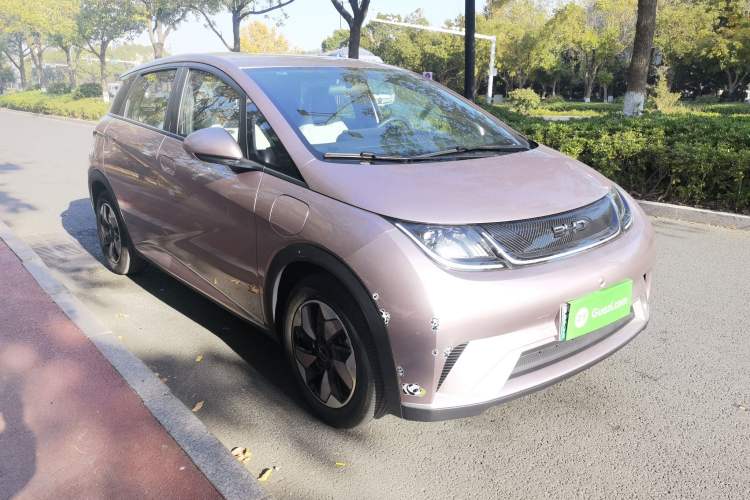 Used BYD Dolphin 2024 Honor Edition 420km Freedom Version
