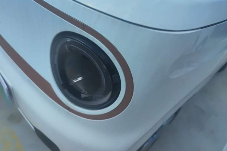 Used  Panda 2024 Panda Mini 200km Endurance Bear
