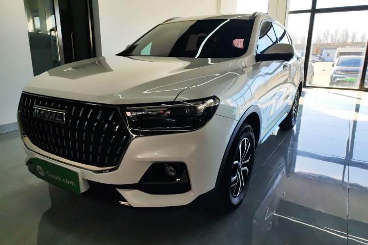 Used Haval H6 2023 National Trend Edition 1.5T Automatic Urban Version