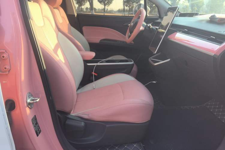 Used NETA V 2022 Chao 400 Lite Pink Custom Edition
