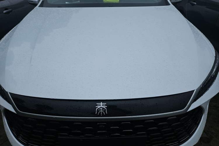 Used BYD Qin PLUS 2025 DM-i Smart Drive 55KM Leading Model
