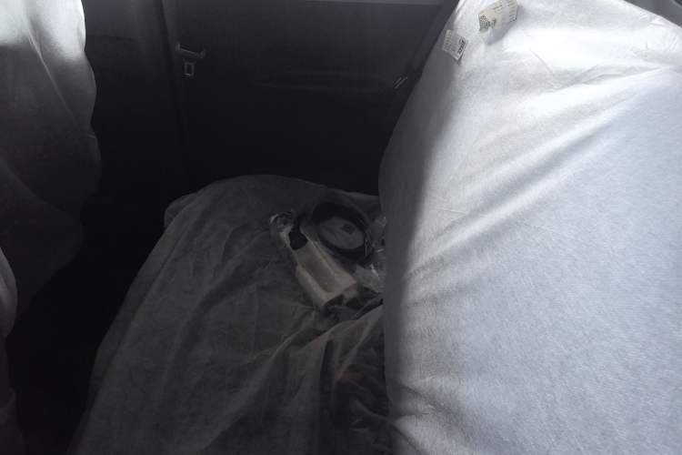 Used  Panda 2024 Panda Mini 200km Endurance Bear
