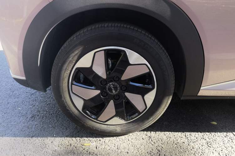 Used BYD Dolphin 2024 Honor Edition 420km Freedom Version
