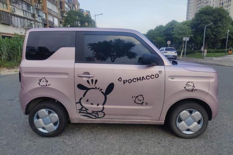 Used  Panda 2023 Panda Mini 200km Endurance Bear
