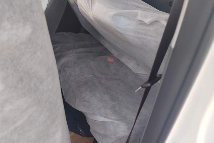 Used  Panda 2024 Panda Mini 200km Endurance Bear
