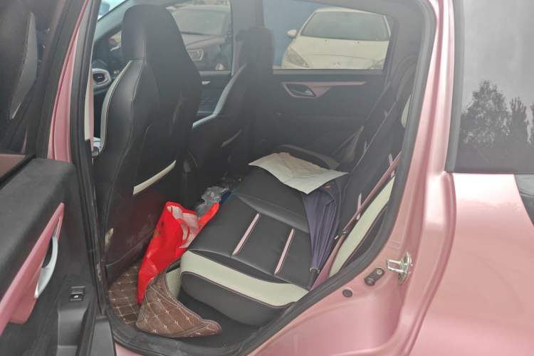 Used SOL E10X 2022 Flower Fairy Design Four-Leaf Clover
