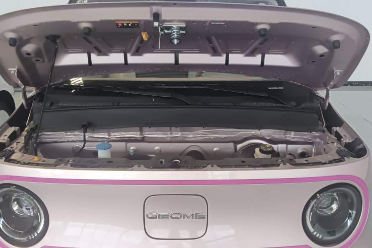 Used  Panda 2025 210km Panda Kart
