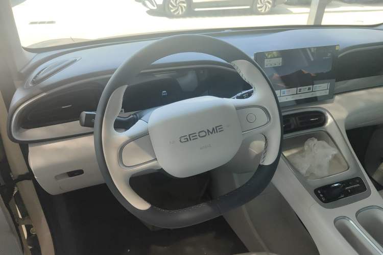 Used  Geome 2025 310km Youth Edition
