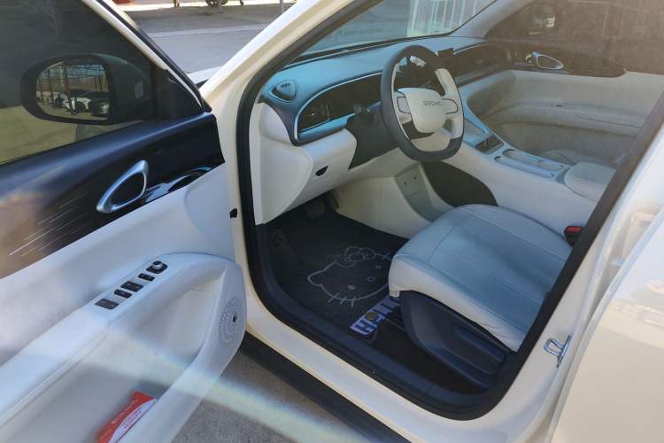 Used  Geome 2025 310km Youth Edition
