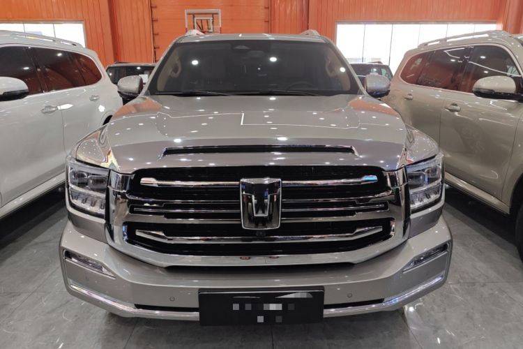 Used Tank 500 New Energy 2023 Hi4-T
