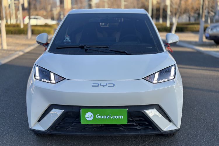 Used BYD Seagull 2025 305 km Free Version
