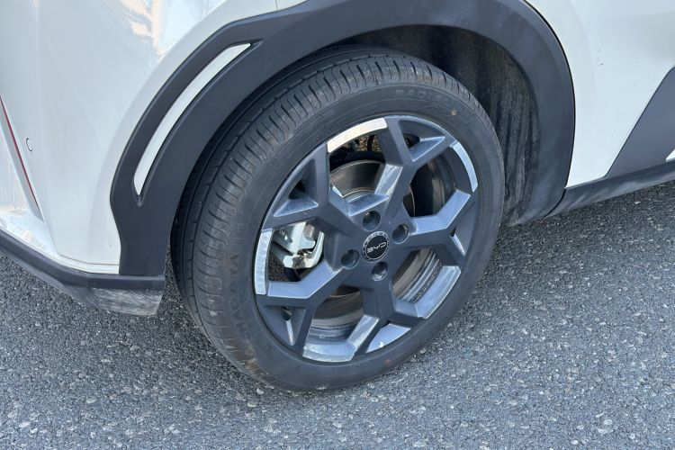 Used BYD Seagull 2025 305 km Free Version
