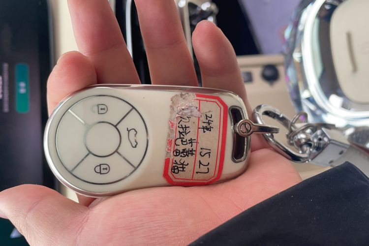 Used ORA Ballet Cat 2023 401 km Luxury Version