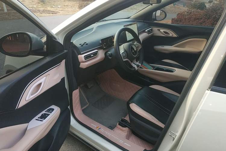 Used BYD Seagull 2024 Honor Edition 305km Freedom Version
