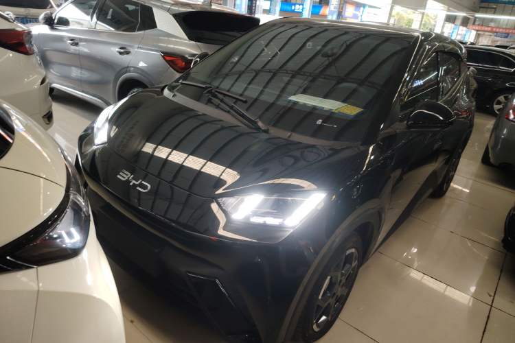 Used BYD Seagull 2025 305 km Free Version