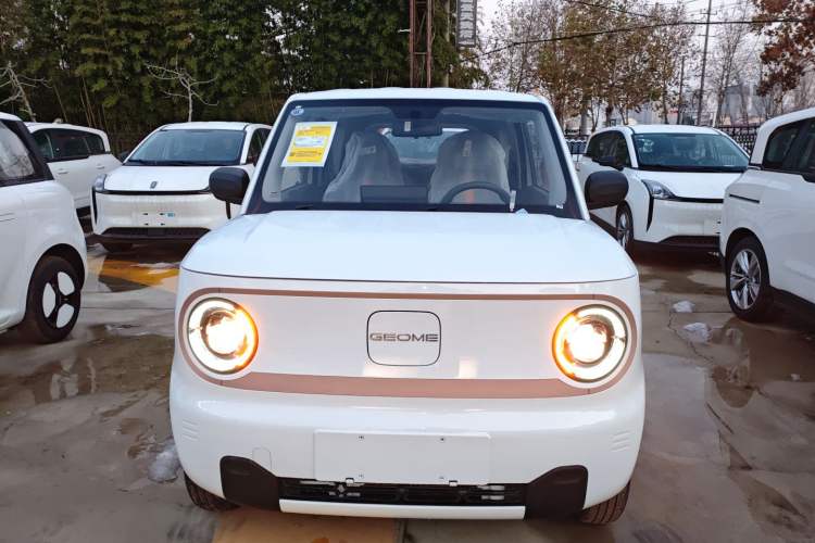 Used  Panda 2024 Panda Mini 200km Endurance Bear
