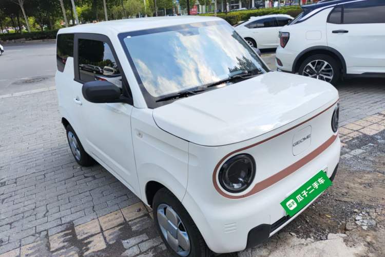 Used  Panda 2024 Panda Mini 200km Endurance Bear
