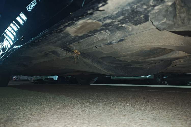 Used Honda Civic 2019 220TURBO CVT Dynamic Edition China V Emission Standard
