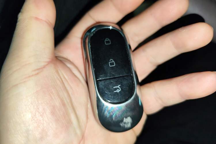 Used Leapmotor C11 2024 Range-Extended 300 Luxury Edition
