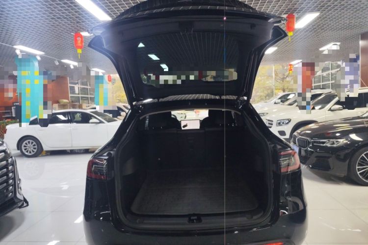 Used Tesla Model Y 2021 Standard Range Rear-Wheel Drive Version