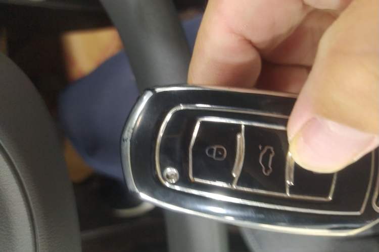 Used  Panda 2023 Panda Mini 200km Endurance Bear
