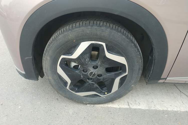 Used BYD Dolphin 2021 405 km Free Version