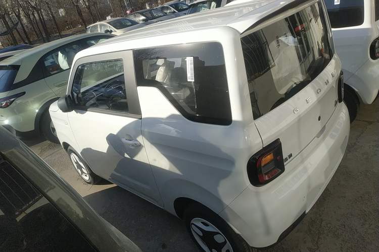 Used  Panda 2025 210 km – Yuanqi Bear