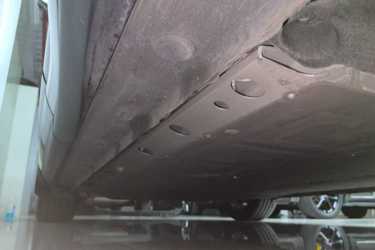 Used  LS6 2023 Max Long-Range Version
