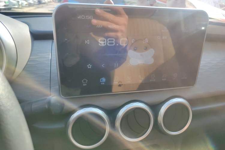 Used ORA Black Cat 2019 310km Fun Edition