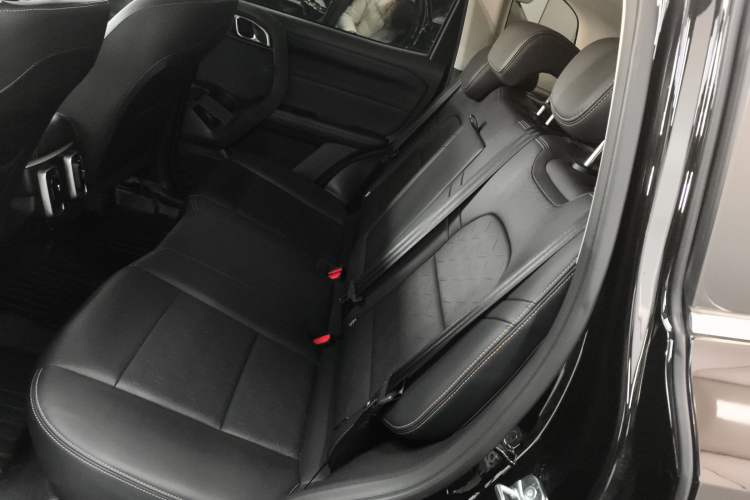 Used Haval DARGO 2024 2.0T DCT Chinese Rural Dog Edition
