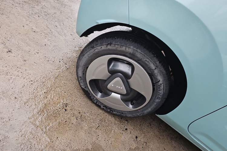 Used  Panda 2023 Panda Mini 200km Dynamic Bear
